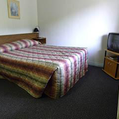 Evening Star Motel Room3